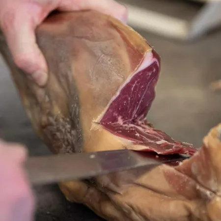 Raubergstulen Fjellstue Og